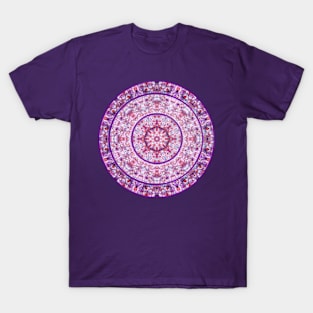 Compass Point Kaleidoscope 2 T-Shirt